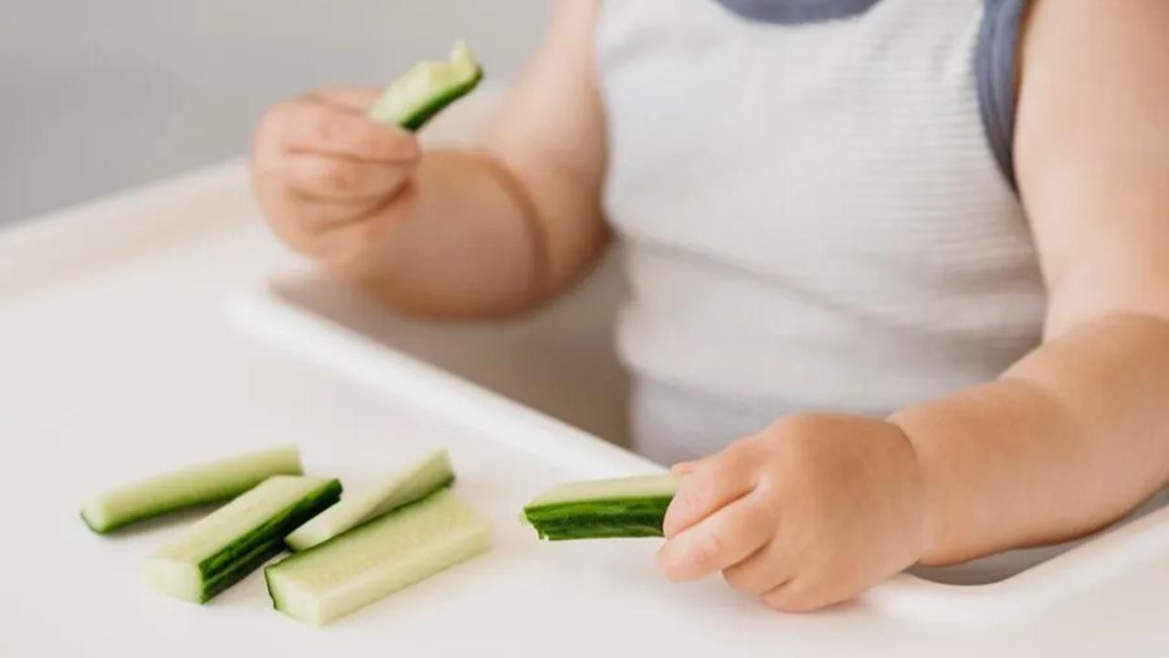 Makanan Apa yang Cocok untuk Finger Food?