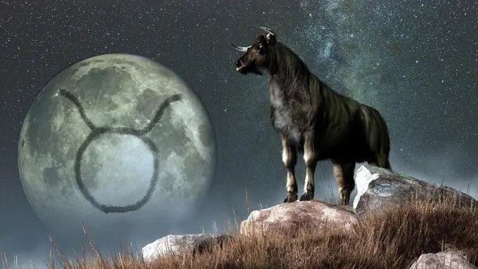 [Bintang] Kisah Cinta Romantis ala 3 Shio yang Berzodiak Taurus