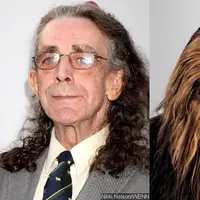 Star Wars Episode VII memasukkan salah satu nama lama, yaitu Peter Mayhew untuk kembali sebagai Chewbacca.