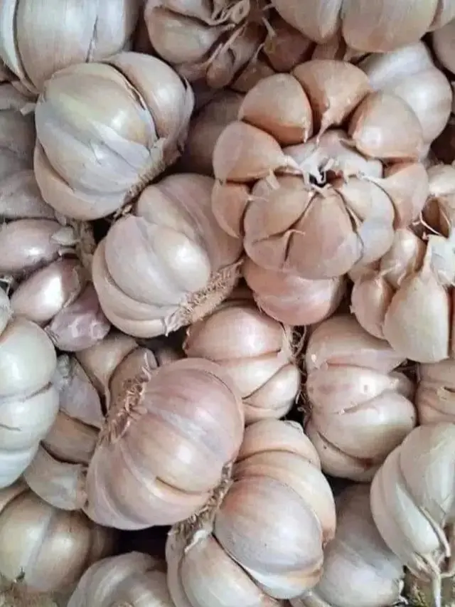 Cara Ampuh Konsumsi Opor Ayam yang Hampir Basi Agar Tetap Aman, Cukup Tambah 1 Bahan