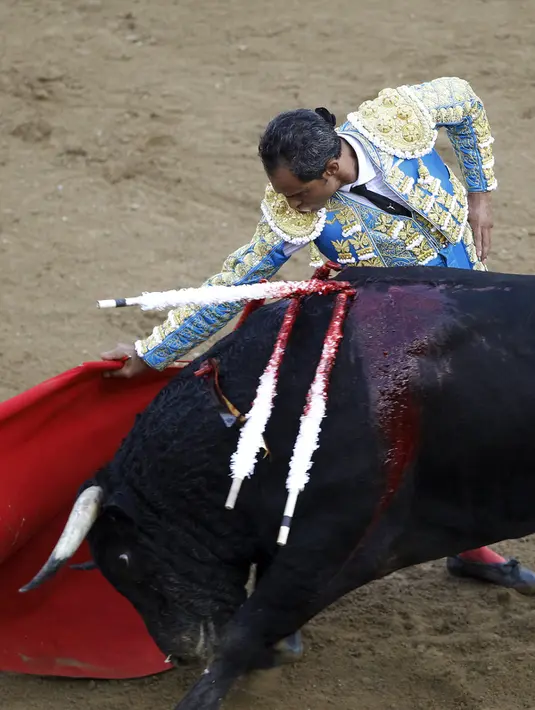 Matador asal Kolombia, Luis Bolivar beraksi melawan banteng selama festival adu banteng di arena Canaveralejo, Cali, Kolombia, (28 /12). Festival ini di adakan tiap setahun sekali menjelang akhir tahun. (REUTERS/Jaime Saldarriaga)