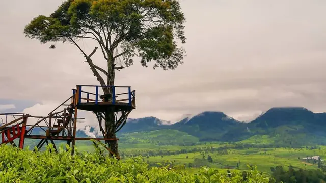 Gunung Nini merupakan salah satu tempat wisata di Bandung @megaswara_