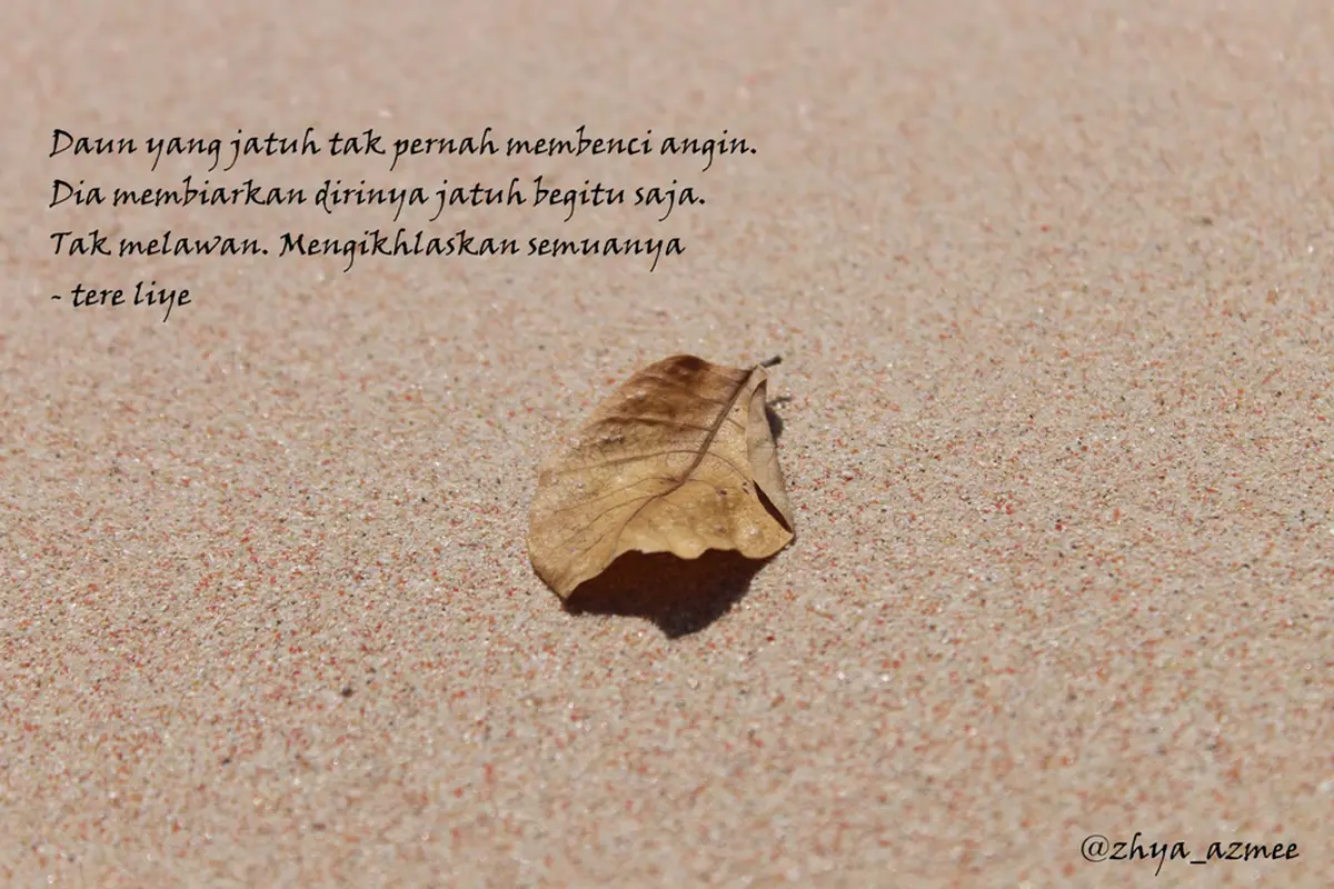Berjuta Rasa Quote Tere Liye yang Bisa Jadi Renungan Kamu