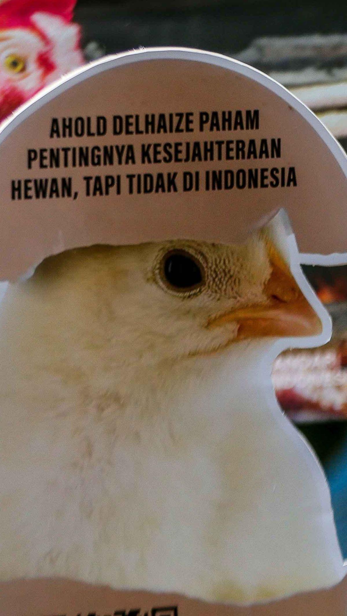 Selain berefek buruk pada ayam ternak, Koordinator Act For Farmed Animals Among Prakosa mengungkapkan, kandang baterai dapat memicu munculnya beragam penyakit berbahaya lainnya.