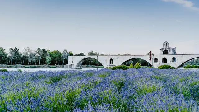 Avignon