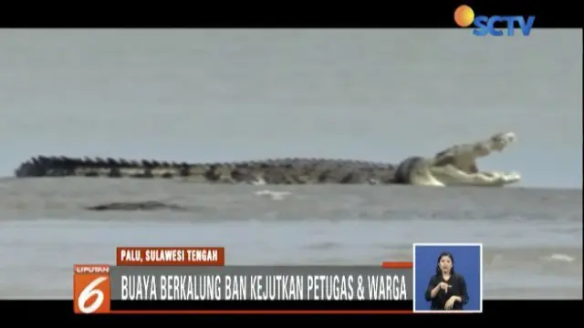 Salah satu kendaraan yang berusaha dievakuasi adalah kendaraan dinas milik Dinas Sosial Provinsi Sulawesi Tengah dan diduga mengangkut peserta Festival Palu Nomoni.