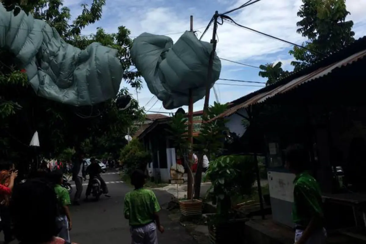 Penerjun Nyasar