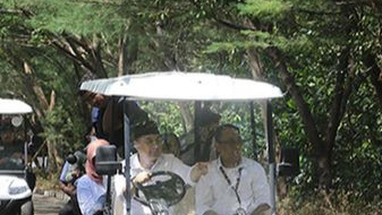 Kualitas Udara Surabaya Disebut Paling Bersih di Indonesia, Ini Faktanya