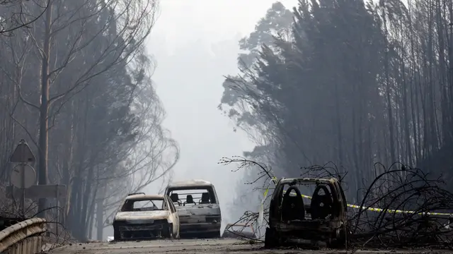 20170618-Sisa-sisa Kebakaran Hutan Terburuk di Portugal-AP