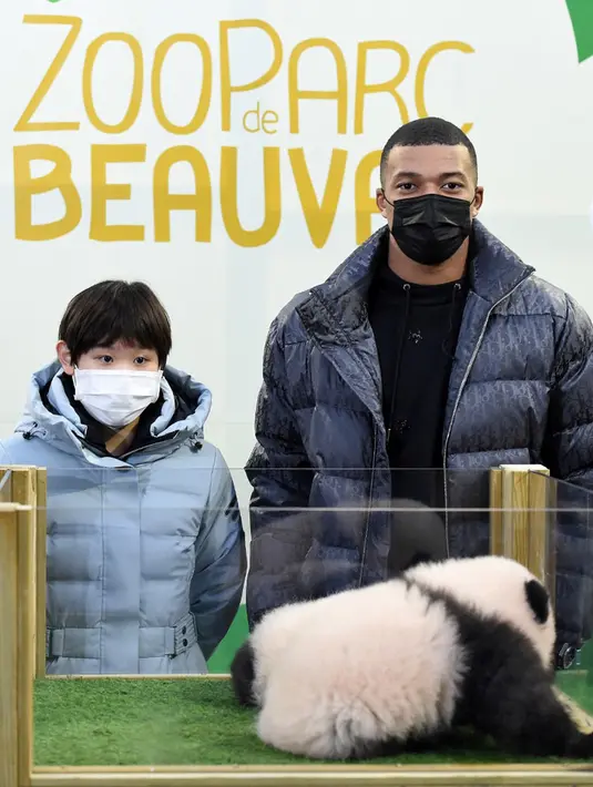 Pemain bola Prancis Kylian Mbappe (kanan) dan juara loncat indah China Zhang Jiaqi (kiri) berpose dengan anak panda di Kebun Binatang Beauval, Saint-Aignan-sur-Cher, Prancis, 18 November 2021. Dua anak panda yang bernama Yuandudu dan Huanlili itu lahir pada musim panas 2021. (GUILLAUME SOUVANT/AFP)