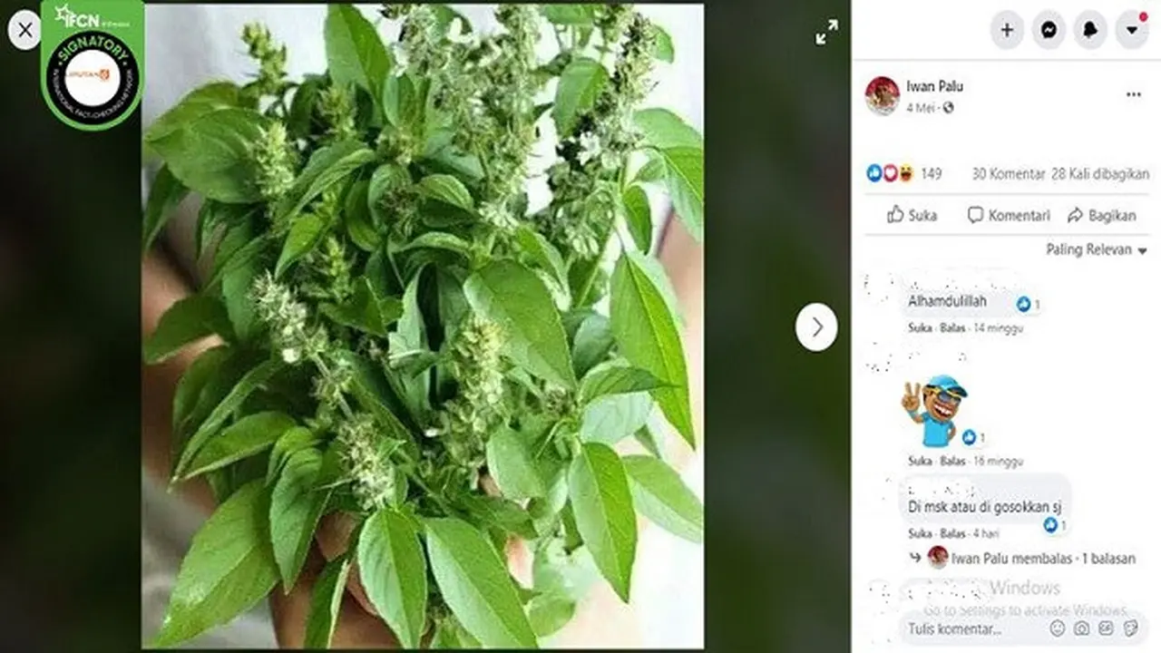 Gambar Tangkapan Layar Foto Daun Kemangi