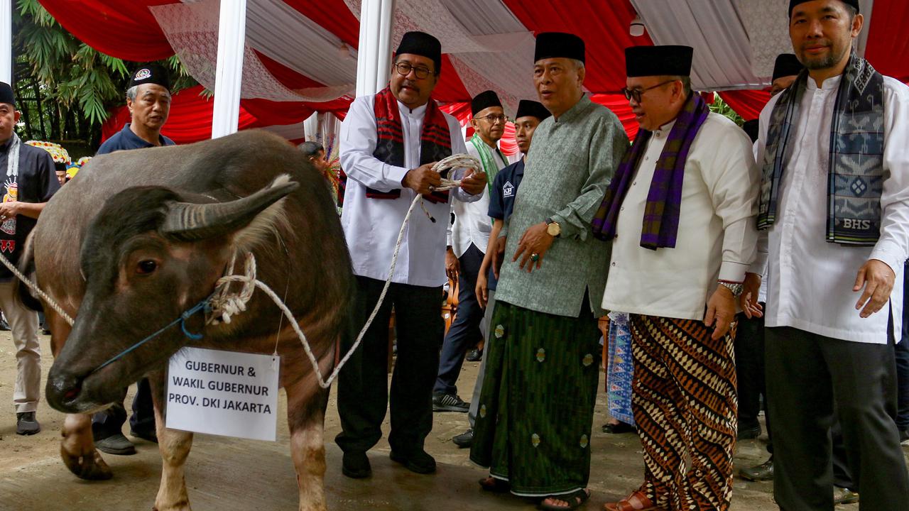 FOTO: Menghidupkan kembali Tradisi Andilan Potong Kebo di Jakarta