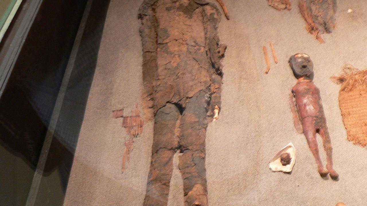 mumi tertua di dunia