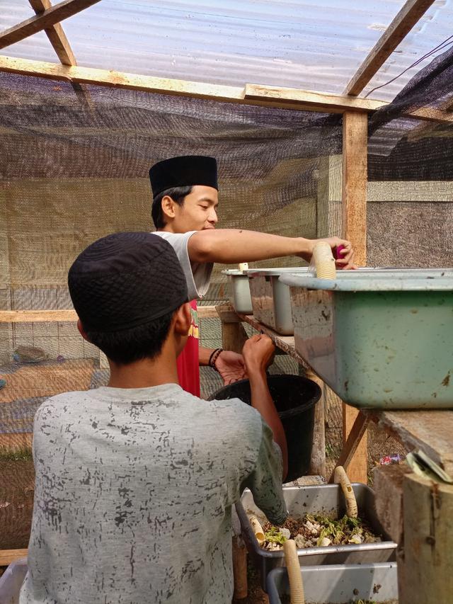 Budidaya Maggot jadi unit usaha santri