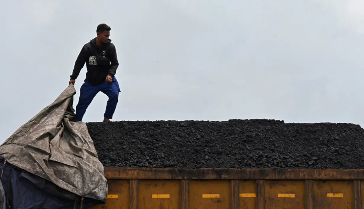 Seorang karyawan berkerja di truk berisi batu bara di Pelabuhan Karya Citra Nusantara (KCN) Marunda, Jakarta, 17 Januari 2022. Indonesia melonggarkan larangan ekspor batu bara. (ADEK BERRY/AFP)