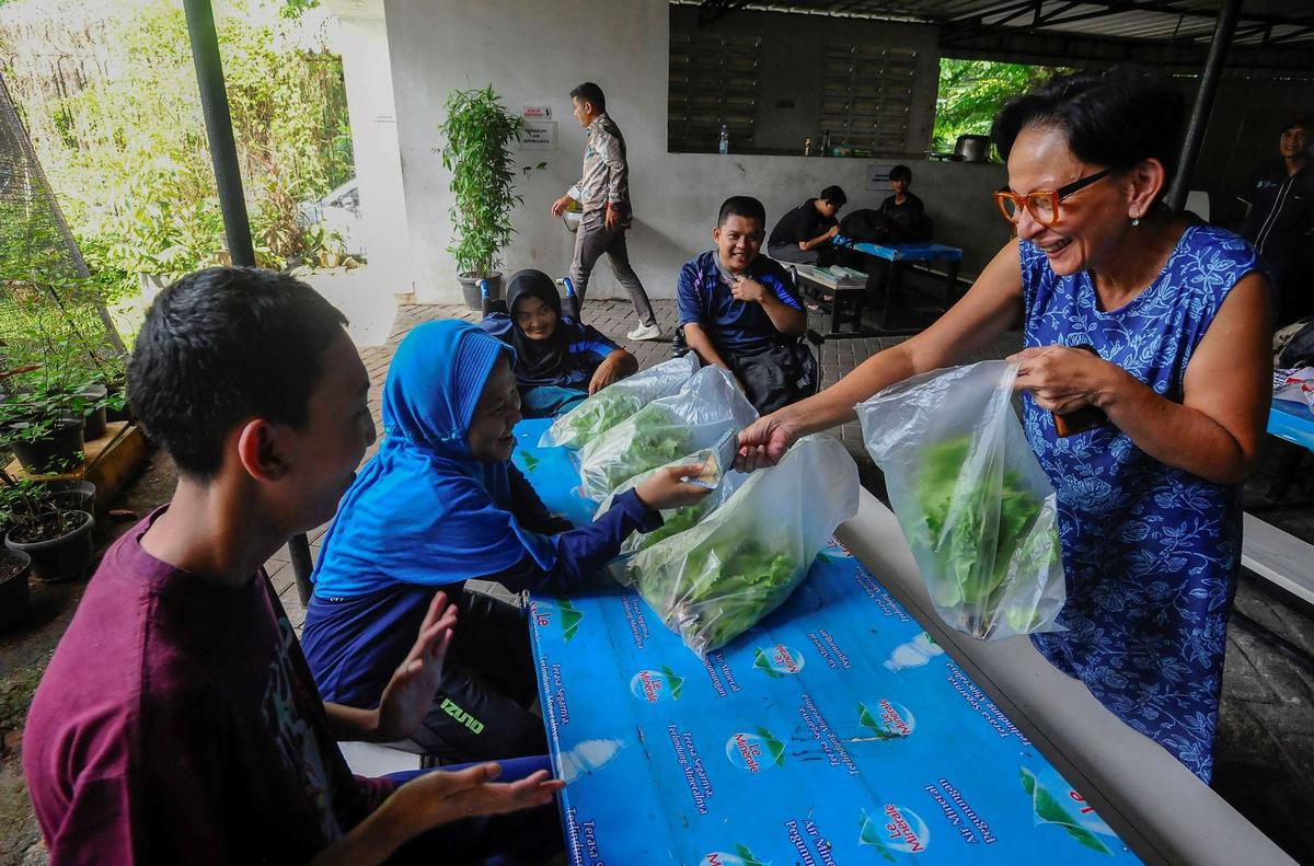 Murid difabel panen selada air di kebun hidroponik YPAC