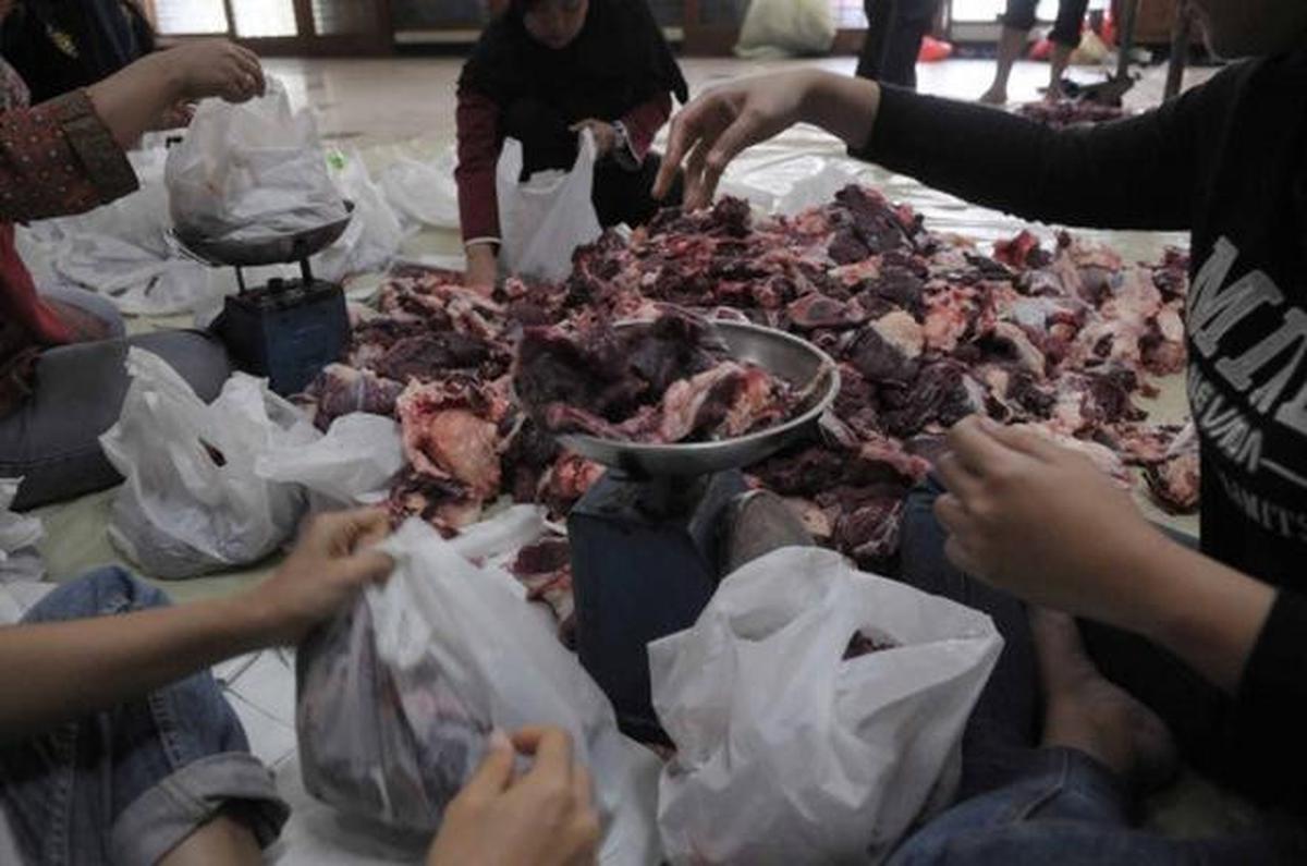 Batas Waktu Aman Simpan Daging Kurban Tanpa Freezer, Panduan Agar Tetap Layak Konsumsi