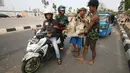 Pembeli membawa kambing yang dibeli di kawasan Kemayoran, Jakarta, Kamis (31/8). H-1 jelang Idul Adha, hewan kurban mulai didistribusikan para pedagang kepada sejumlah pembeli di Ibukota. (Liputan6.com/Immanuel Antonius)