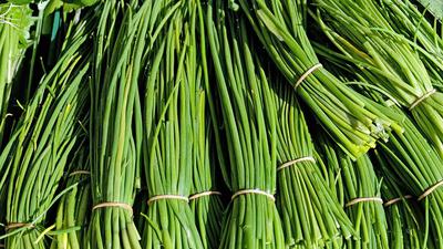 Cara Menanam Kucai agar Bisa Dipanen Berkali-kali, Sebuah Trik yang Biasa Dipakai Para Petani Sayur