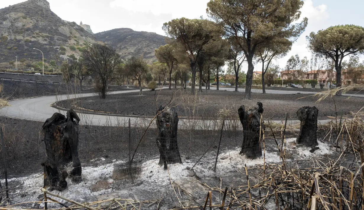 Kebakaran hutan melanda pulau Sisilia di Italia, disebarkan oleh angin kencang dan kondisi yang gersang. (Photo by Giovanni ISOLINO / AFP)