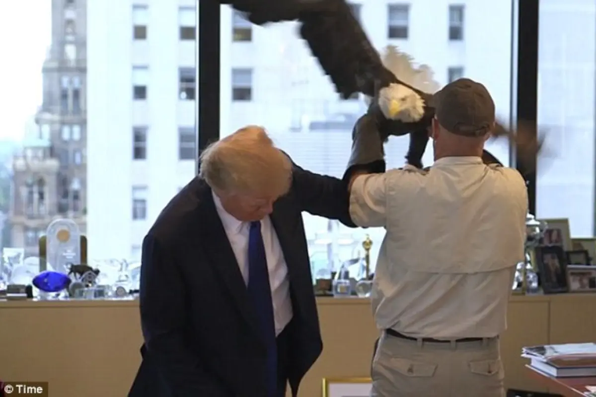 Bahkan 'Bald Eagle', Lambang Amerika Serang Donald Trump!