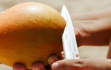 6 Metode Mengolah Kulit Buah Mangga untuk Menurunkan Kolesterol