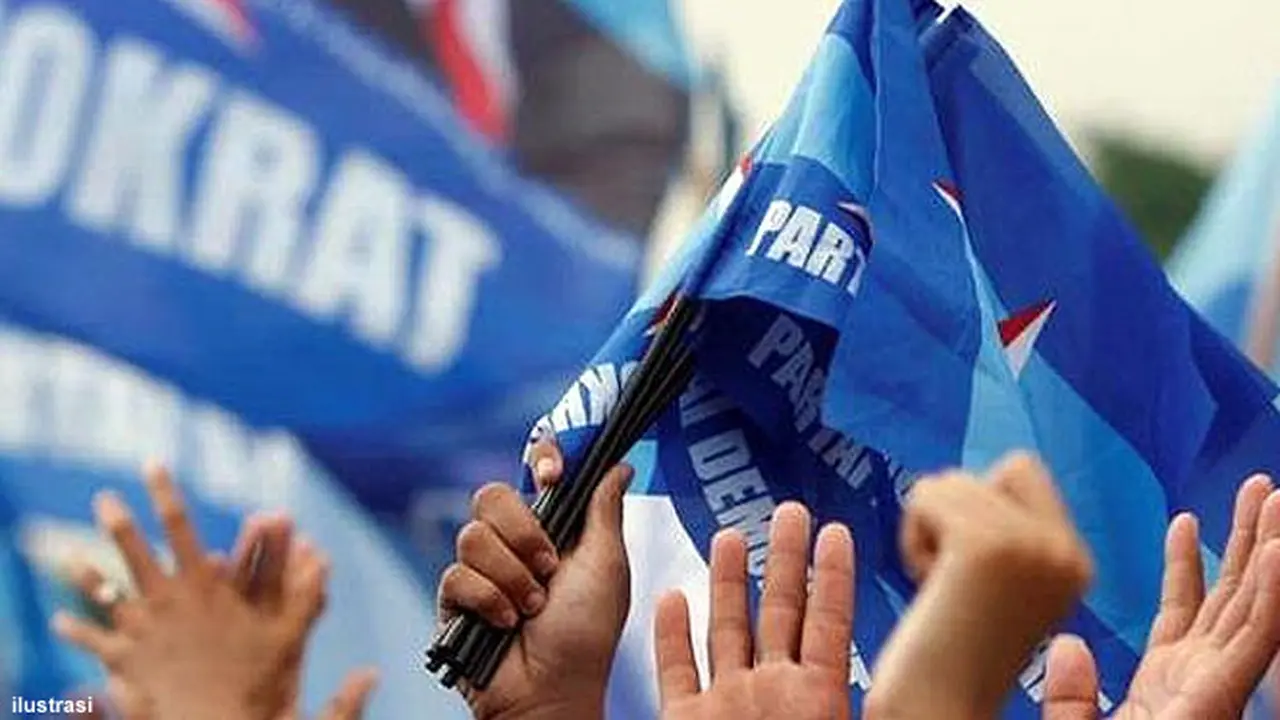 dpc-demokrat130225b.jpg