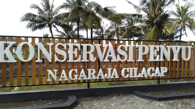Kisah Perjuangan Pria Bangun Konservasi Penyu, Siap Jadi Eduwisata Era Pandemi