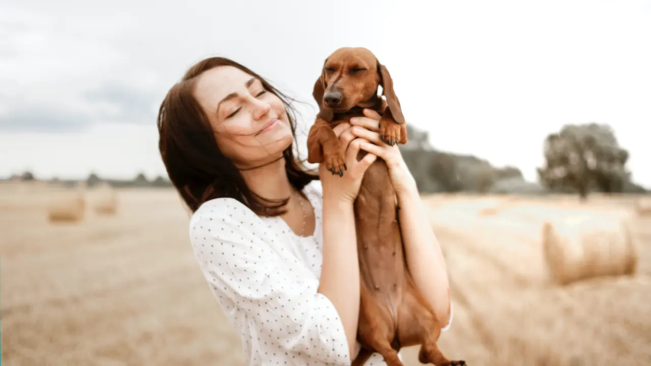 Mimpi Seputar Anjing