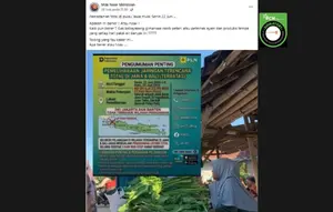 Cek Fakta: Hoaks Pemadaman Listrik Total Jawa - Bali Selama 3 Hari