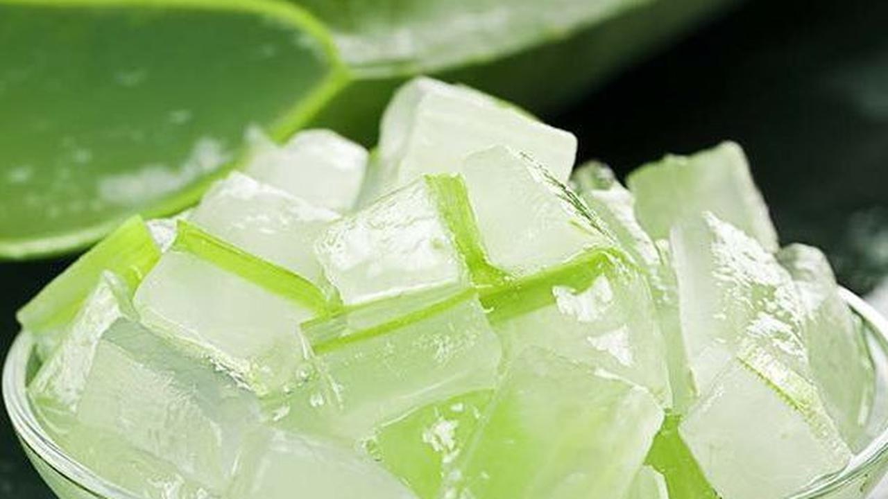 Aloe Vera Gel (Gel Lidah Buaya)
