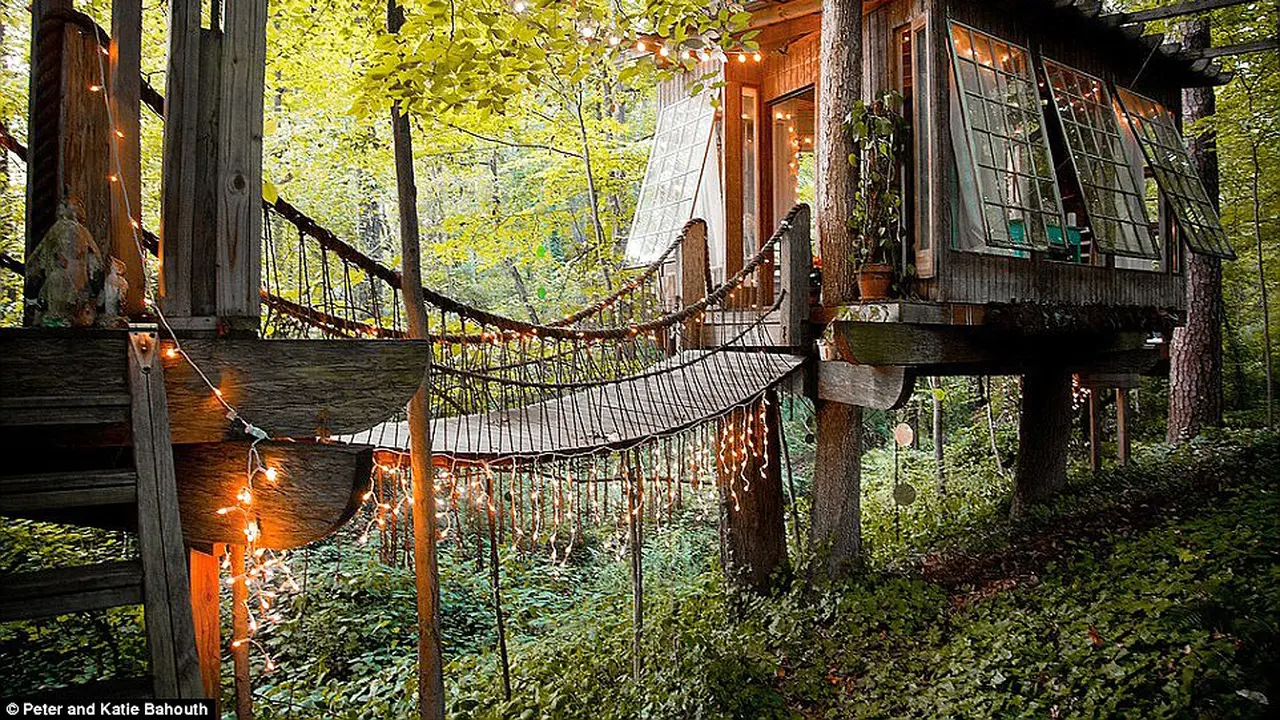 5 Rumah Pohon Keren ala 'The Jungle Book'