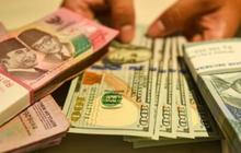 Cadangan Devisa Maret 2025 Naik Jadi USD157,1 Miliar
