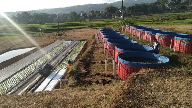Sein Farm, Bandung