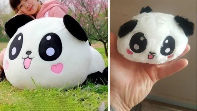 ekspektasi vs realita