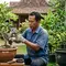 8 Cara Mengerdilkan Pohon Rambutan di Pot, Tetap Produktif dan Mudah Dirawat
