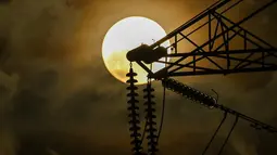 Bulan penuh yang disebut sebagai Buck Moon pada Juli ini mulai bisa dilihat oleh mereka yang berada di Indonesia pada Senin, 3 Juli pukul 17.40 WIB. (Photo by CHAIDEER MAHYUDDIN / AFP)