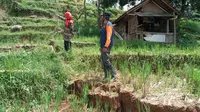 Tanah terbelah 100 meter mengancam permukiman dan sawah di Desa Kutaagung, Dayeuhluhur, Cilacap, Jawa Tengah. (Foto: Liputan6.com/BPBD Cilacap)