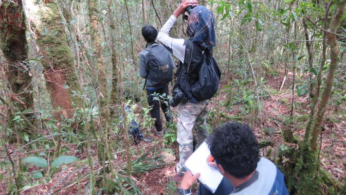 <p>Pemantauan burung di hutan Rongkong_9Foto:BBKSDA Sulsel & FFI)</p>