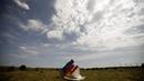 Salah satu puing pesawat Malaysia Airlines MH-17 yang tercecer usai jatuh di desa Hrabove, Donetsk, Ukraina, (20/7/2014). (REUTERS/Maxim Zmeyev) 