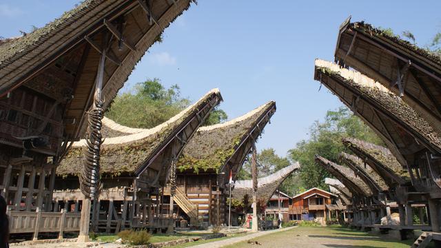 7 Tempat Wisata di Toraja dengan Keunikan Budaya dan