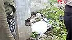 liputan6