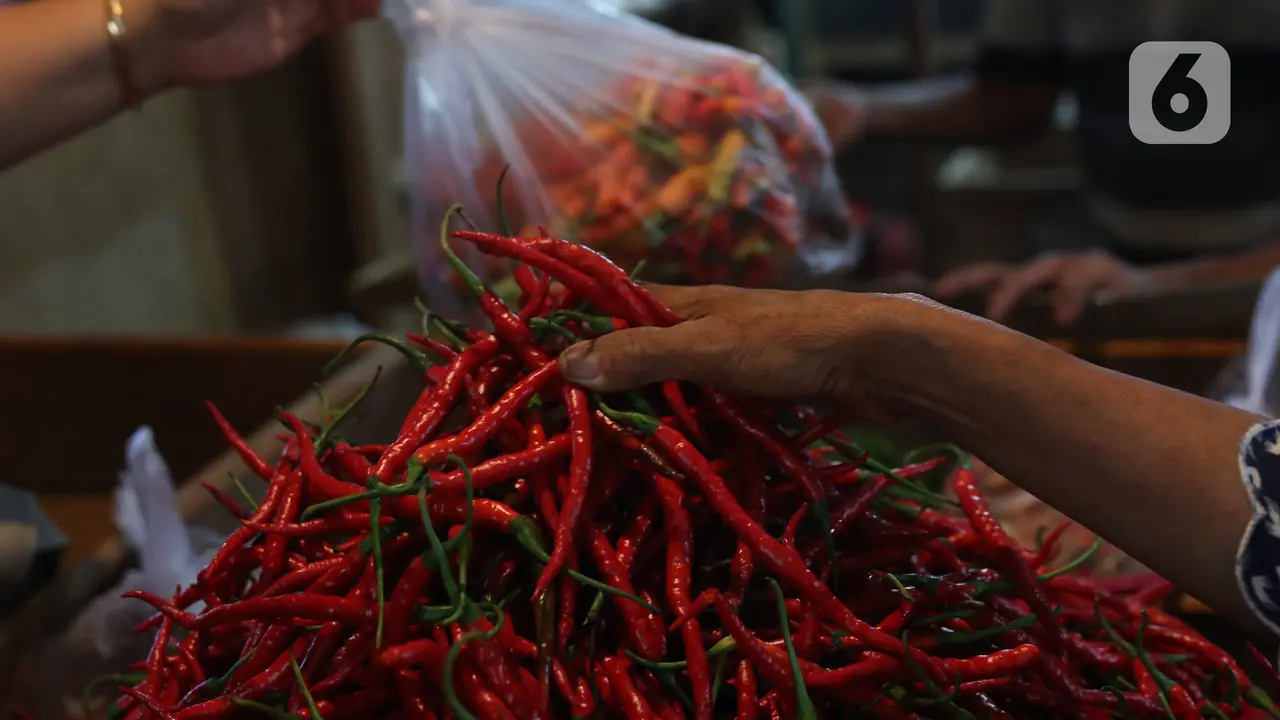 Harga Cabai