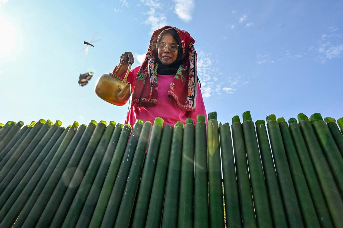 FOTO: Ribuan Warga Abdya Pecahkan Rekor Memasak Lemang Terbanyak