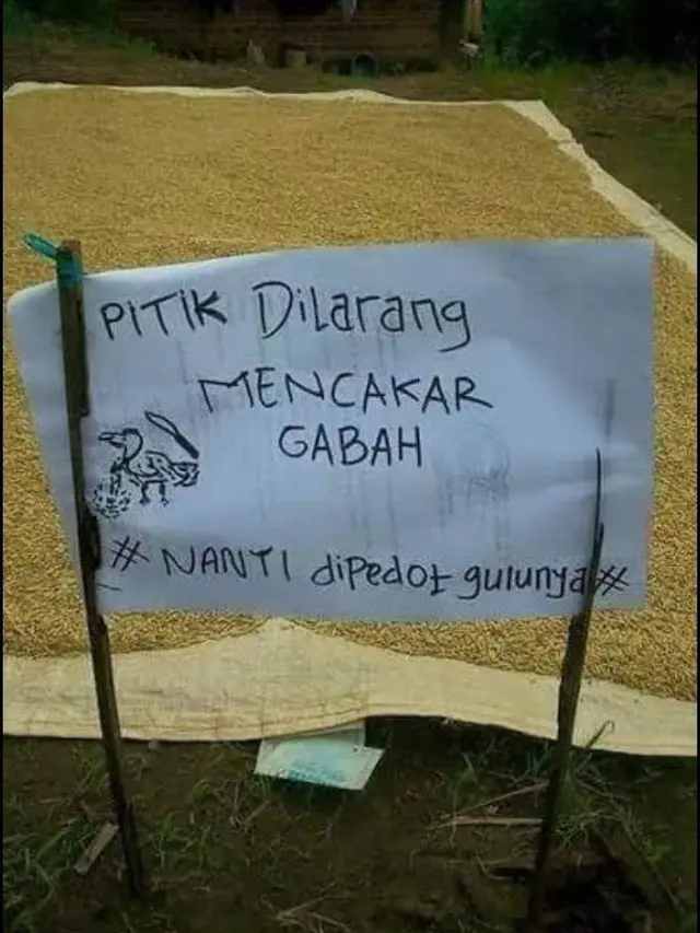 6 Peringatan Untuk Hewan Ini Nyeleneh, Bikin Geleng Kepala