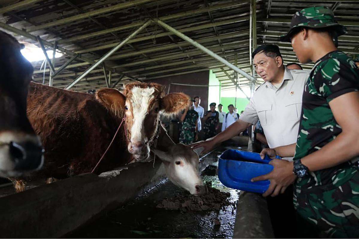 FOTO: Menhan Sjafrie Tinjau Yonif TP 843, Perkuat Sinergi Pertahanan, Kesehatan, dan Ketahanan Pangan