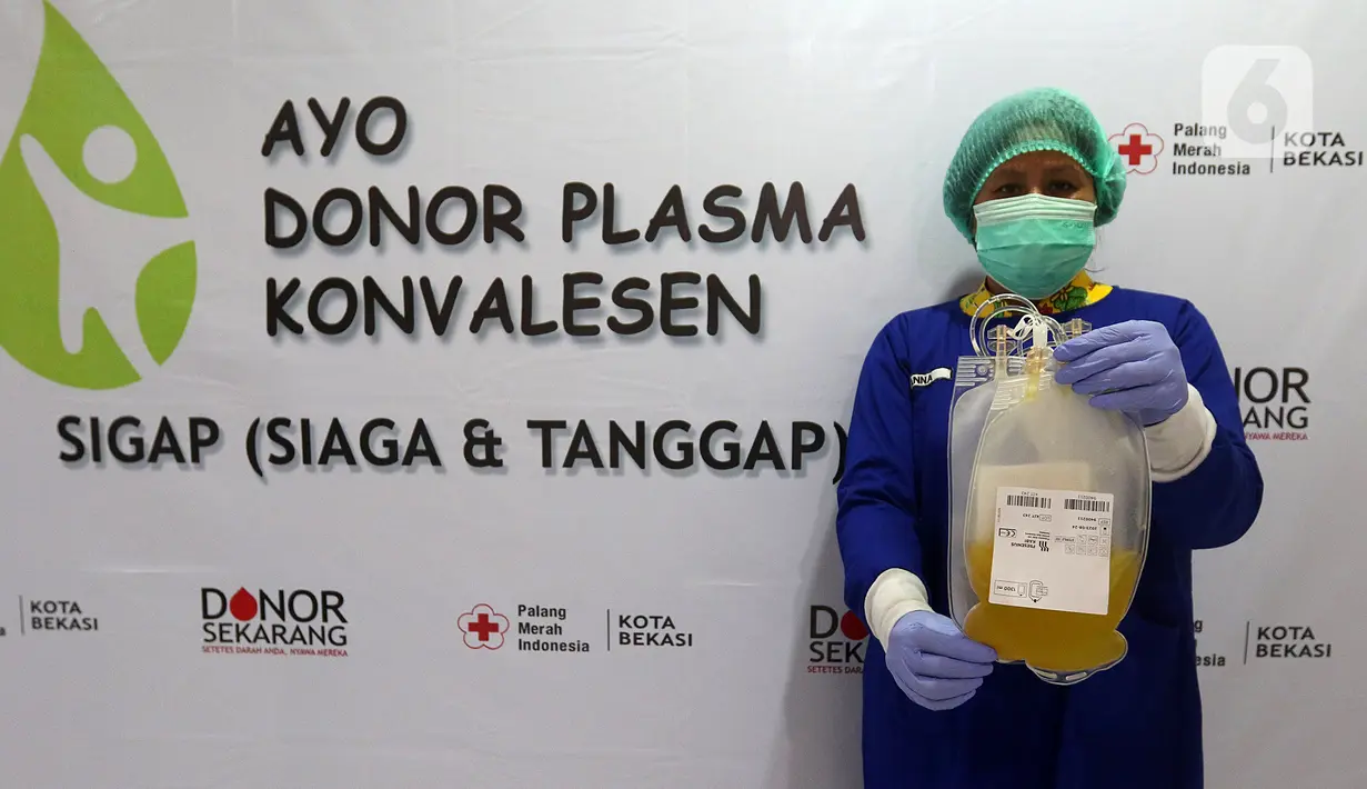 Petugas medis menunjukkan plasma konvalesen hasil donor penyintas COVID-19 di PMI Bekasi, Jawa Barat, Kamis (11/2/2021). Untuk saat ini, PMI Bekasi hanya mampu melayani enam orang pendonor per harinya karena keterbatasan alat. (Liputan6.com/Herman Zakharia)