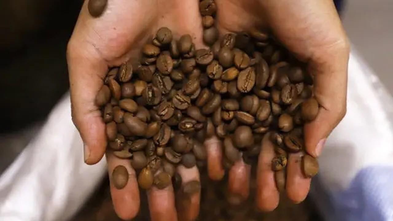 Cara Aman Minum Kopi Tanpa Risiko Asam Lambung