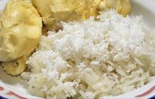 Mencicipi Lamang Katan, Makanan Tradisional Melayu yang Menggugah Selera