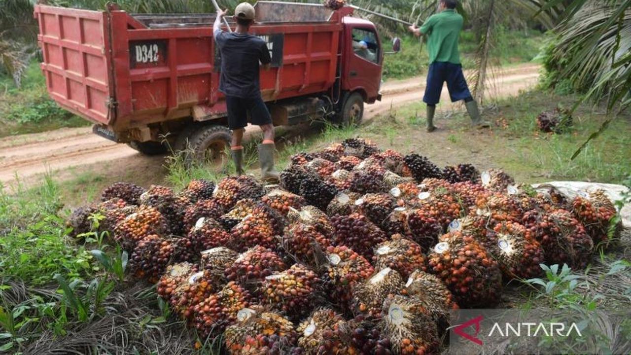 BPDP Diminta Perluas Program Pengembangan SDM Kelapa Sawit Nasional